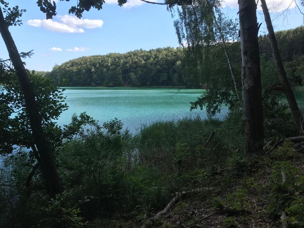 Agroturystyka "Zielone Zacisze" Villa Łagów Екстериор снимка