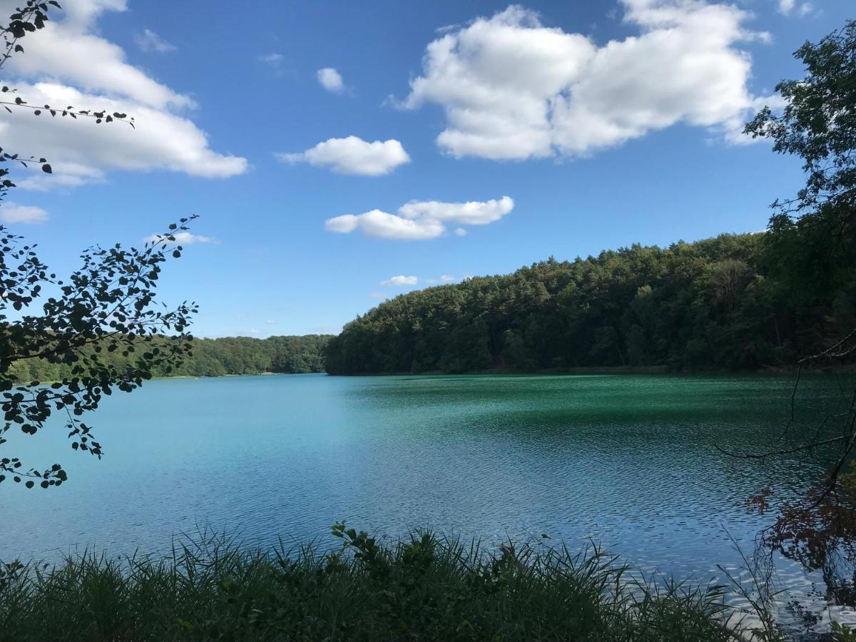 Agroturystyka "Zielone Zacisze" Villa Łagów Екстериор снимка
